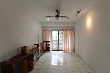 Evergreen Park Acorn and Hazel