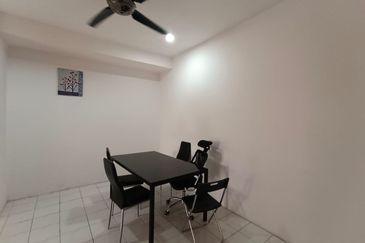 Evergreen Park Acorn and Hazel