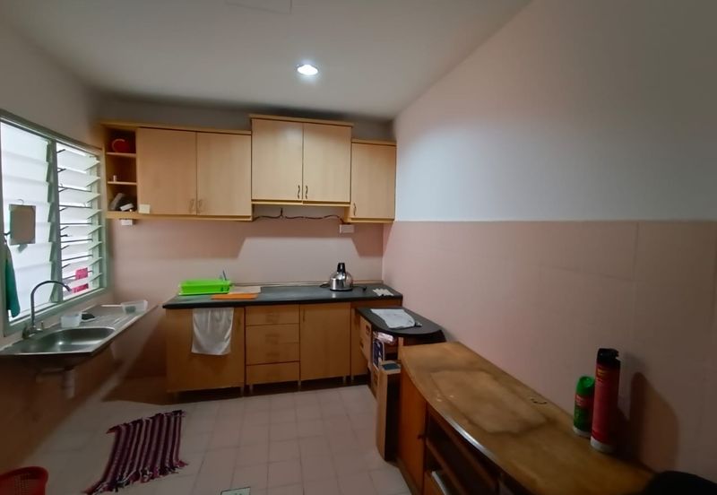 Evergreen Park Acorn and Hazel