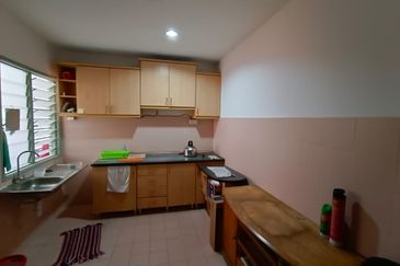 Evergreen Park Acorn and Hazel