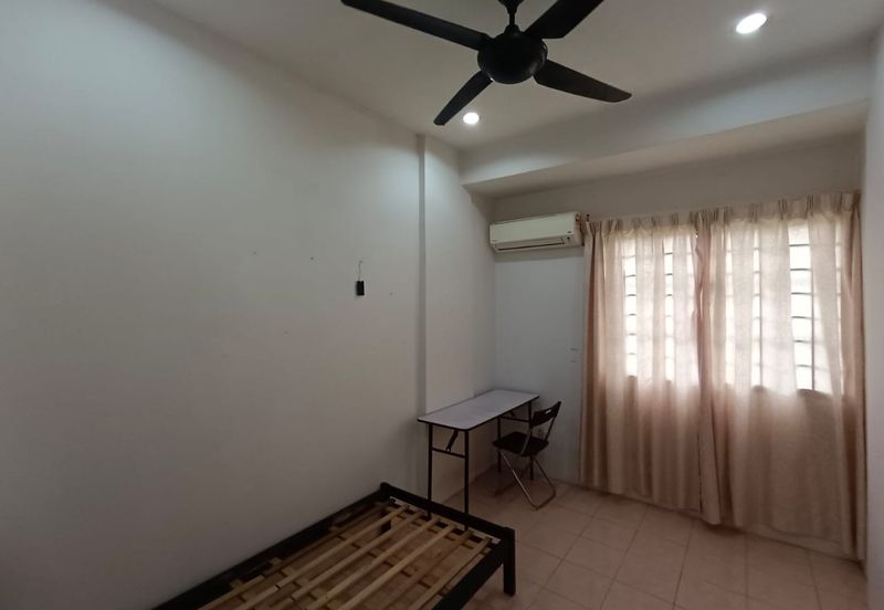 Evergreen Park Acorn and Hazel