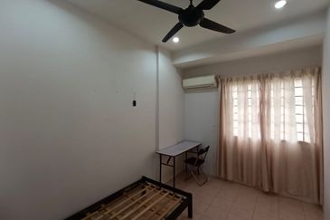 Evergreen Park Acorn and Hazel