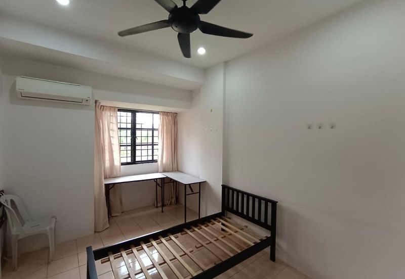 Evergreen Park Acorn and Hazel