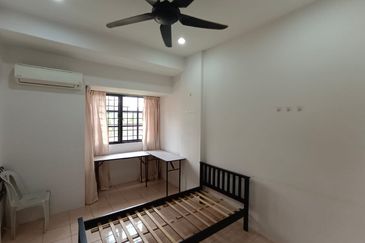 Evergreen Park Acorn and Hazel