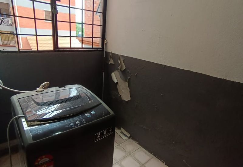 Evergreen Park Acorn and Hazel