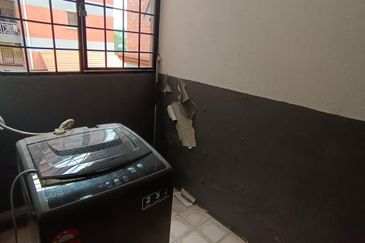 Evergreen Park Acorn and Hazel