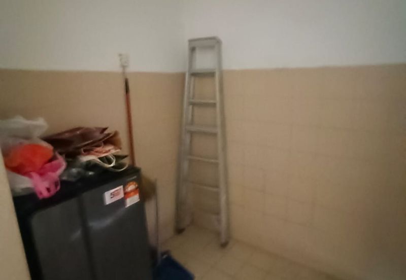 Evergreen Park Acorn and Hazel