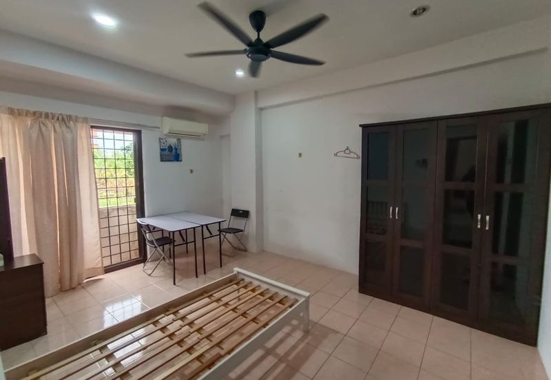 Evergreen Park Acorn and Hazel