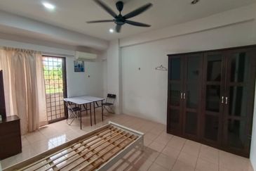 Evergreen Park Acorn and Hazel