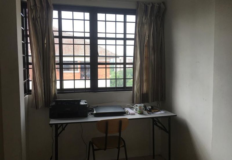 Evergreen Park Acorn and Hazel