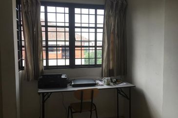 Evergreen Park Acorn and Hazel