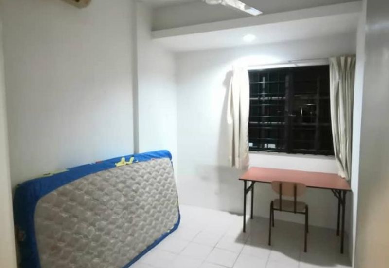 Evergreen Park Acorn and Hazel