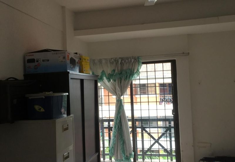 Evergreen Park Acorn and Hazel