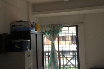 Evergreen Park Acorn and Hazel