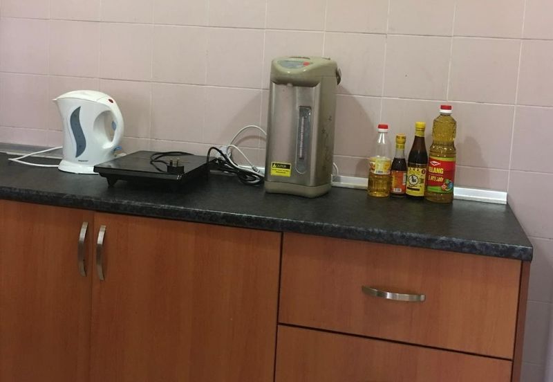 Evergreen Park Acorn and Hazel