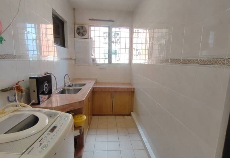 Evergreen Park Cypress