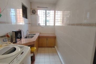 Evergreen Park Cypress