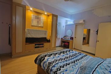 Evergreen Park Cypress