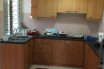 Evergreen Park Acorn and Hazel