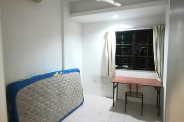 Evergreen Park Acorn and Hazel