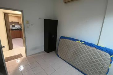 Evergreen Park Acorn and Hazel