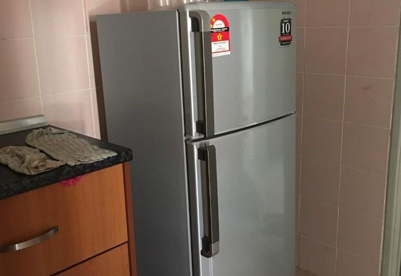 Evergreen Park Acorn and Hazel