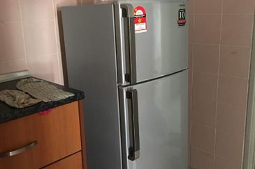 Evergreen Park Acorn and Hazel