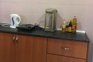 Evergreen Park Acorn and Hazel