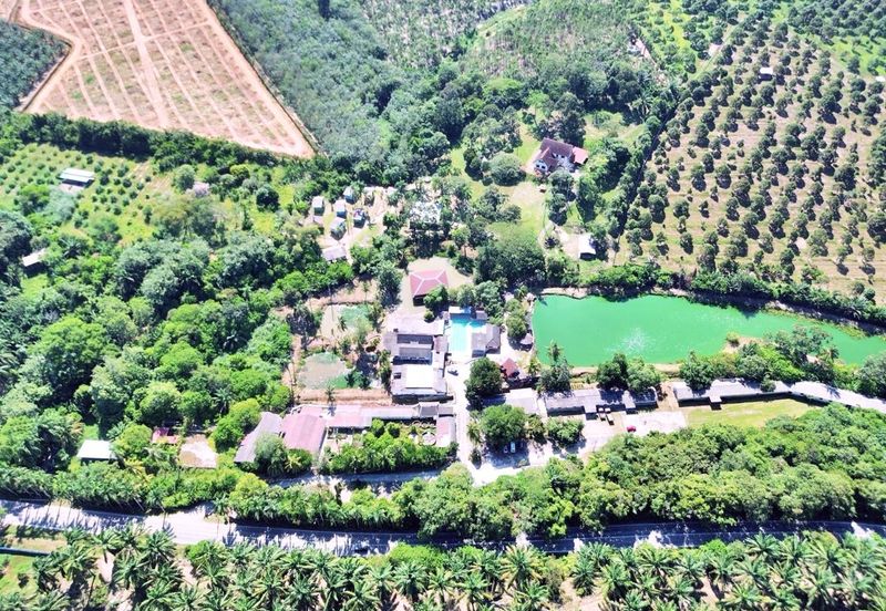  FREEHOLD HUGE Resort Agro Farm Durian Tunggal Melaka 29 Acres