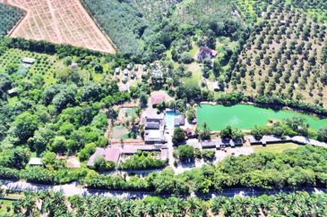  FREEHOLD HUGE Resort Agro Farm Durian Tunggal Melaka 29 Acres