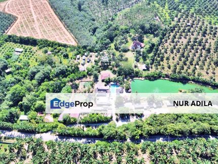  FREEHOLD HUGE Resort Agro Farm Durian Tunggal Melaka 29 Acres, Melaka, Durian Tunggal