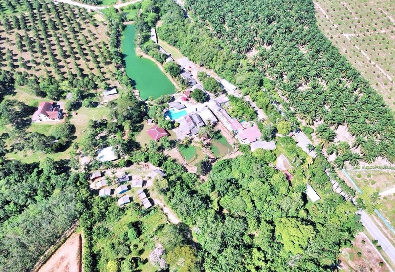  FREEHOLD HUGE Resort Agro Farm Durian Tunggal Melaka 29 Acres