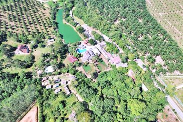  FREEHOLD HUGE Resort Agro Farm Durian Tunggal Melaka 29 Acres