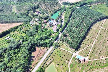  FREEHOLD HUGE Resort Agro Farm Durian Tunggal Melaka 29 Acres