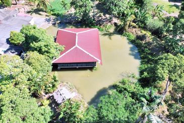  FREEHOLD HUGE Resort Agro Farm Durian Tunggal Melaka 29 Acres