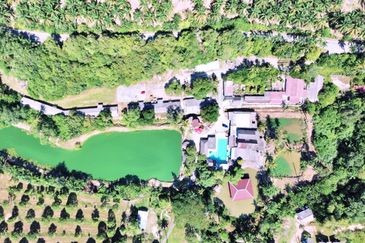  FREEHOLD HUGE Resort Agro Farm Durian Tunggal Melaka 29 Acres