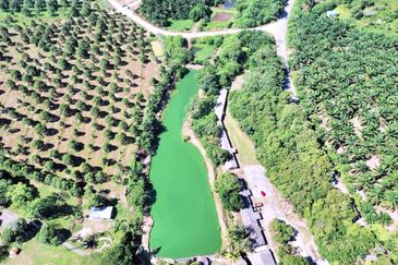  FREEHOLD HUGE Resort Agro Farm Durian Tunggal Melaka 29 Acres