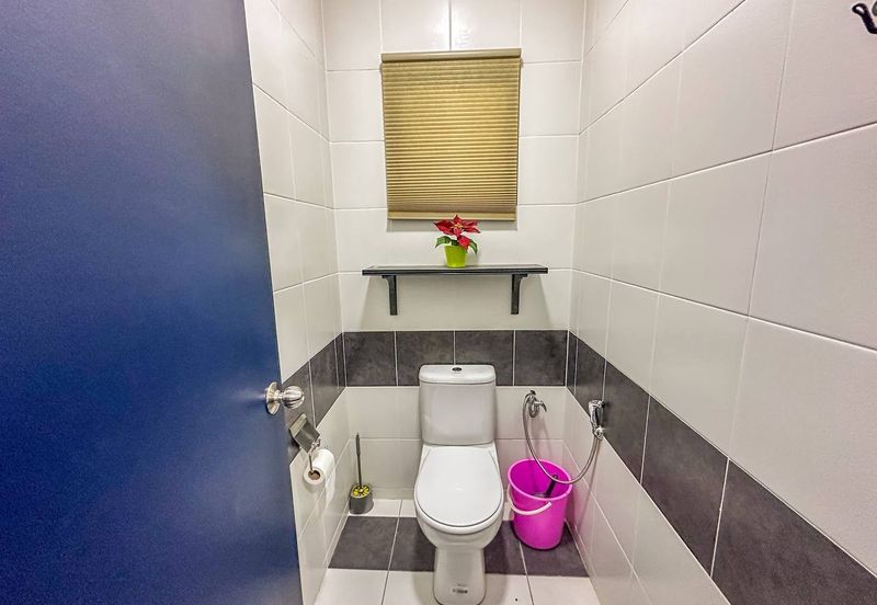 Brighton @ Eco Majestic