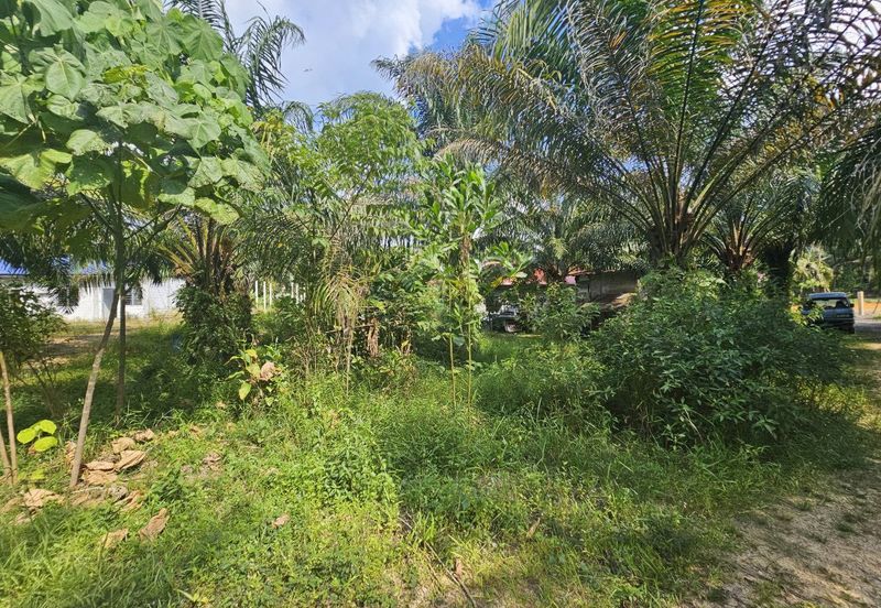 Tanah Lot Pekan Salak