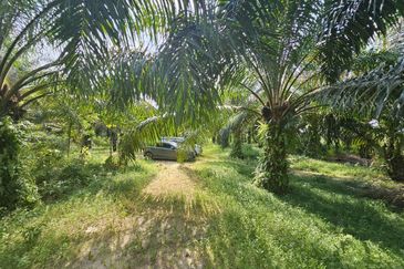 Tanah Lot Pekan Salak