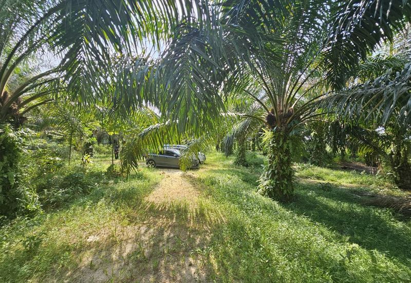 Tanah Lot Pekan Salak