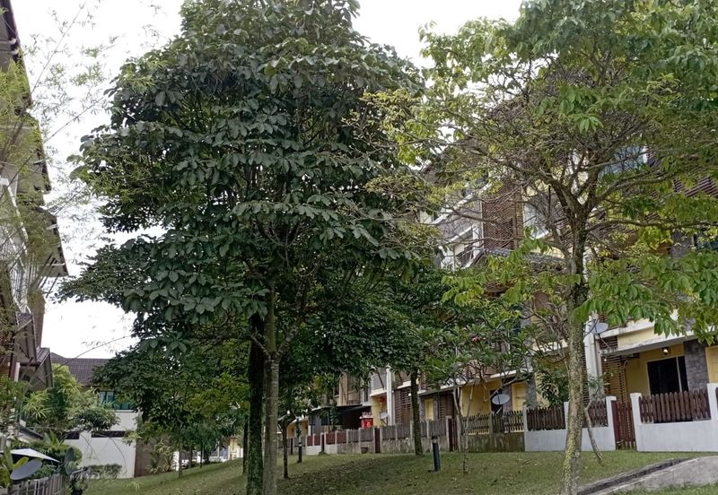 Avenue 2, Lake Valley