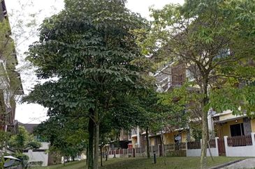 Avenue 2, Lake Valley