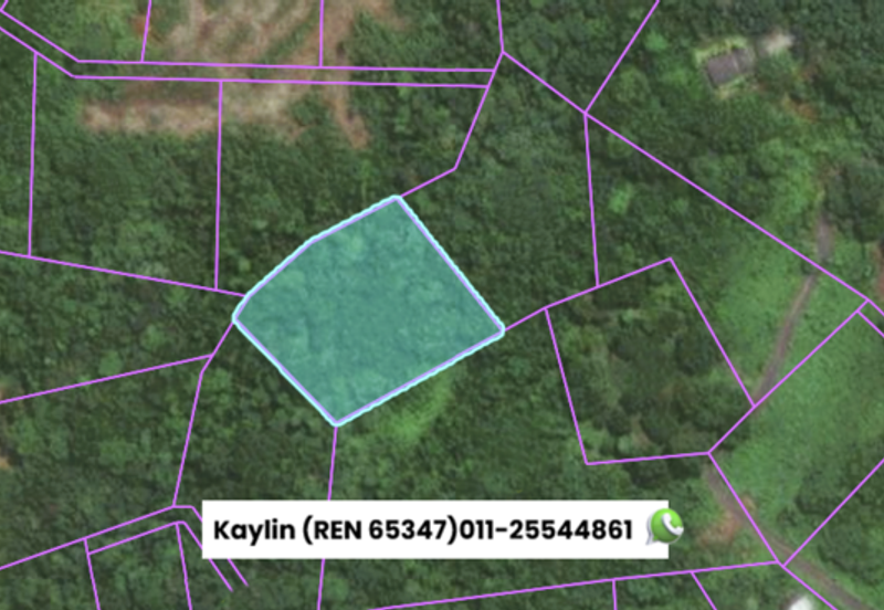 Syn-San-Tu 新山肚, Moyan Kuching Land for sale