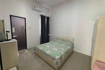 Rice Field @ 19th Miles