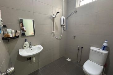 Rice Field @ 19th Miles