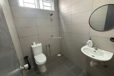 Rice Field @ 19th Miles