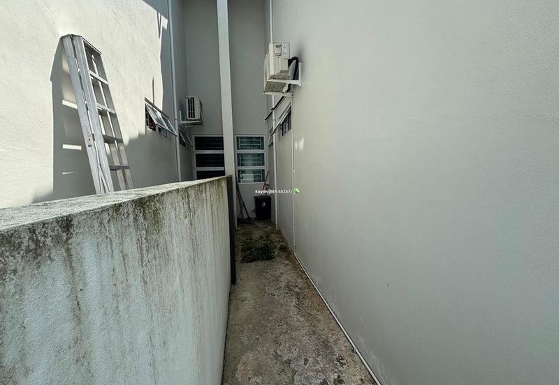 Rice Field @ 19th Miles