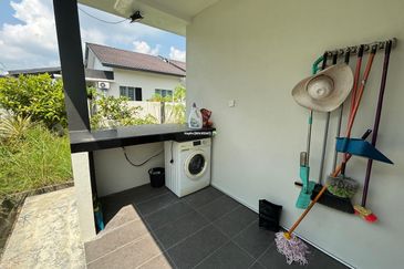 Rice Field @ 19th Miles