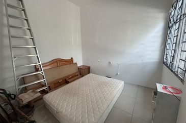 Rice Field @ 19th Miles